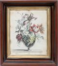 120461 ITALY BOTANICAL HAND COLORED PRINT C1930