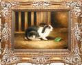 121576 PICTURE ON CANVAS RABBIT OUTSIDE HUTCH