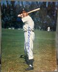 120050 SIGNED COLOR PHOTOS OF JOE DIMAGGIO ETC