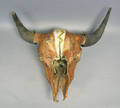 Contemporary Native American painted buffalo skull