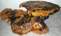 121103 ROOT CARVING TWOTIER COFFEE TABLE W33 L55
