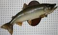 110142 SALMONTROUT FISH MOUNT L29 D10