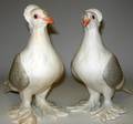 113627 BOEHM BISQUE TUMBLER PIGEONS H9 W8