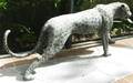 113269 BRONZE GARDEN SCULPTURE JAGUAR H255 L67