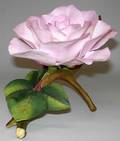 113344 CONNOISSEUR FLOWER PINK ROSE H6 W10