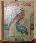 113055 ANIMAL  BIRD IN PICTURE  WORD C1900