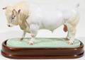031129 ROYAL WORCESTER CHAROLAIS BULL H 6 