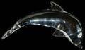 021144 STEUBEN GLASS PORPOISE H 5 L 9