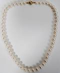 050289 SINGLE STRAND CULTURED PEARL NECKLACE L 17