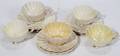 060380 BELLEEK PORCELAIN CUPS  SAUCERS  SUGAR