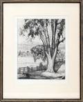 042354 LUIGI LUCIONI ETCHING TREE ON HILLSIDE