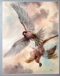 032495 PEASE MODERN WATERCOLOR HAWK  PHEASANT
