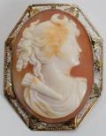031562 SHELL CAMEO BROOCH OF GODDESS DIANA L 1 34