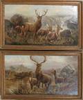032032 ROBERT CLEMINSON OILS FEMALE STAG WITH FAWNS