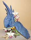 030039 CONNOISSEUR BISQUE BLUE AND GOLD MACAW H 30