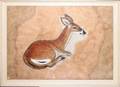 022053 CHARLES CULVER WATERCOLOR 1953 FAWN
