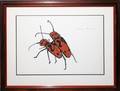 022054 CHARLES CULVER WATERCOLOR 1952 LOVE BUGS