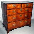 012058 ENGLISH ROSEWOOD  WALNUT CHEST OF DRAWERS