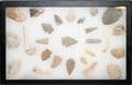 100176 NATIVE AMERICAN INDIAN STONE ARROWHEADS 23 PC