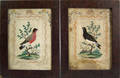 Pair of watercolor feather and pinprick drawings of birds 19th c