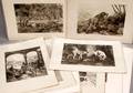 100323 PHOTOGRAVURE PRINTS FORTY C1900 18x12