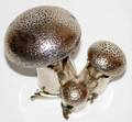 101003 BUCCELLATI STERLING MUSHROOM SALT  PEPPER