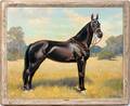 062045 ADOLPH HEINZE OIL THE HORSE BLACK OUT