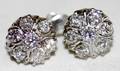 110157 WHITE GOLD  CLUSTER DIAMOND EARRINGS PAIR