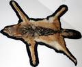 041240 MICHIGAN COYOTE RUG L38 W36