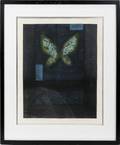 122394 KUWAYAMA TADAAKI ORIGINAL GRAPHIC BUTTERFLY