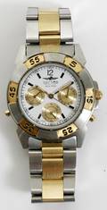 110450 SECTOR ADV 500 MENS STAINLESS WRIST WATCH