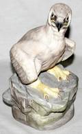 020559 BOEHM BISQUE YOUNG AMERICAN BALD EAGLE