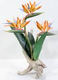 062090 BOEHM BISQUE BIRD OF PARADISE H15