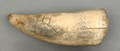 Scrimshaw whales tooth 19th c