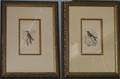 082150 LIZARS STUDIES BY JARDINE PRINTS C1840