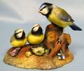 063535 ROYAL CROWN DERBY PORCELAIN BLUE TIT WCHICKS