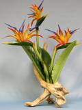063676 BOEHM BIRD OF PARADISE H14 W15