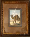 082359 ENGRAVING C1890S 18x23 CAMEL