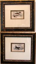 063696 LIZARS HANDCOLORED PRINTS OF DOGS C1820