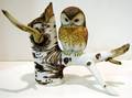 063755 KAZMAR BISQUE FIGURE SAWWHET OWL H8 W9