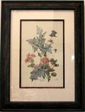 063748 PRINT CHARDON CAMPANULE GERANIUMS ANTIQUE