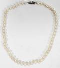 080479 STERLING SILVER  PEARL NECKLACE L16