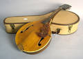 Gibson mandolin with case