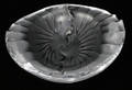 121127 LALIQUE CRYSTAL LION ASHTRAY DIA 5 34