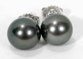 102241 SOUTH SEA PEARL  WHITE GOLD STUD EARRINGS