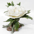 120309 BOEHM TREE PEONY BISQUE FLOWER H 7 L 8