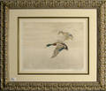 Four Leon Danchin signed bird prints