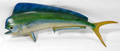 110462 MOUNTED DOLPHIN