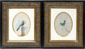 101533 VICTORIAN LITHOGRAPHS BIRDS