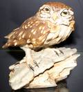 092427 ITALIAN BISQUE FIGURE ELF OWL H6 W6